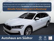 Skoda Superb, 1.5 TSI Combi Selection, Jahr 2024 - Rietberg