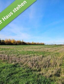 Zu Hause einfach genießen, Ihr Familienhaus im kommenden Baugeb. in Schmedenstedt. - Peine