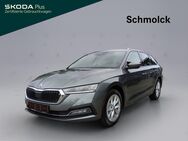 Skoda Octavia, 2.0 TDI Combi Style 150, Jahr 2024 - Emmendingen