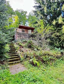 traumhaftes Wochenendgrundstück mit Bungalow in idyllischer Lage in Kelbra nahe dem Stausee Kelbra - Kelbra (Kyffhäuser)