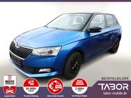 Skoda Fabia, 1.0 TSI 110 Style, Jahr 2018 - Kehl