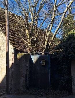 Nach Abriss kommt Neubau - Barby (Elbe)