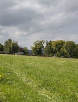 Wohnen wo andere Urlaub machen - Waldeck (Hessen)