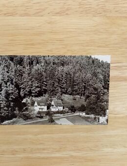 Ansichtskarte-Calmach-Haus Jauch-Haus Rösch. - Nörvenich