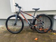 29 Zoll Ciclista MTB Fahrrad - Leverkusen