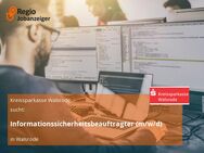 Informationssicherheitsbeauftragter (m/w/d) - Walsrode