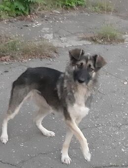 Moré - Mönchengladbach