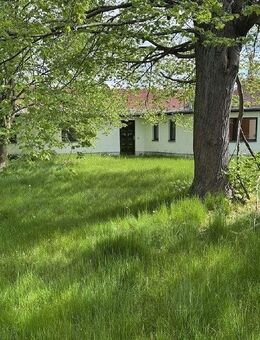 Einfamilienhaus im Bungalowstil in Ullersdorf zum Kauf | sanierungsbedürftig | mit Entwurfsplanung - Radeberg