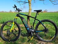 E Bike Mountainbike neuwertig - Bremen