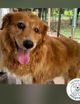 Pi: Liebevolle Seniorin - Kirchzell