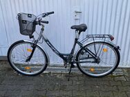 Senator Damenfahrrad 7gang Shimano Nabenschaltung 28zoll Bike Rahmenhöhe ca 53cm - Essen