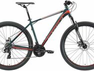 Bikestar Mountainbike, 21 Gang Shimano RD-TY300 Schaltwerk, Kettenschaltung, für Damen und Herren, Kettenschaltung