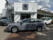 VW Golf, 2.0 TSI 8 VIII OPF 140kW Style, Jahr 2023 - Pasewalk