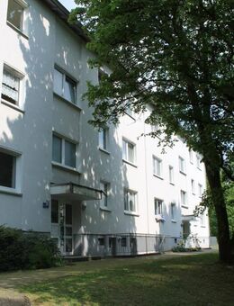 Besichtigen lohnt sich! 3-Zimmer-Erdgeschoss-Wohnung - Siegen (Universitätsstadt)