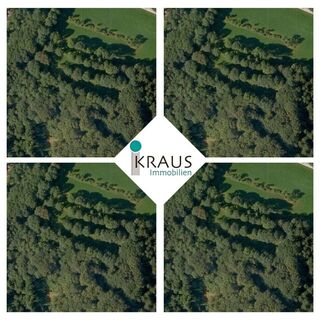 Schöne Waldgrundstücke in LIEBMANNSBERG !!!
