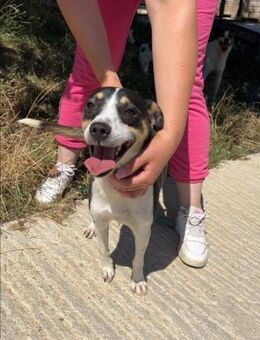 Sehr liebe unkomplizierte ESTHER sucht♥️ - München