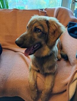 LUNI - beim Lernen immer voll dabei - Overath