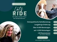 Osteopathische Sattelkontrolle inkl. Korrektur der Sattellage* - Neumünster