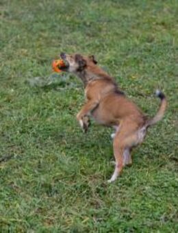 MAIKO - jetzt kommt die Charmeoffensive - Overath