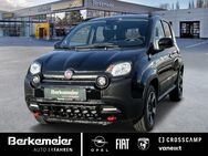 Fiat Panda, 1.0 l Cross 70PS Klimaauto_Sensoren, Jahr 2024 - Münster