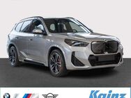 BMW iX, 1 eDrive20 M Sportpaket M Pro, Jahr 2024 - Daun Zentrum