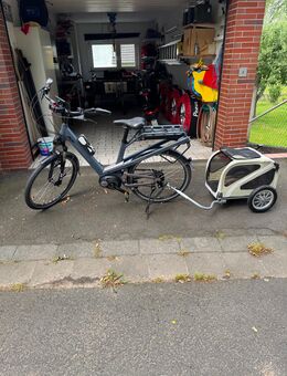 E-Bike der Fa. Riese&Müller - Felsberg