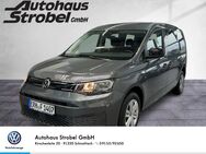 VW Caddy, 2.0 TDI Maxi Life Rollstuhl Bluett, Jahr 2023 - Schnaittach