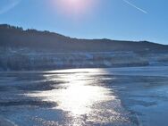 Ehrenamtliche Reisebegleiterin an den Titisee bei Neustadt im Schwarzwald gesucht - München