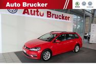 VW Golf Variant, 1.6 TDI VII Comfortline, Jahr 2019 - Schmalkalden