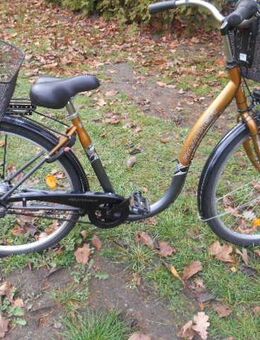 Unbenutztes 28 Zoll PANTHER Damen-Tiefeneinsteiger - Müden (Aller)