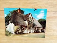 Ansichtskarte-Ak-217- Nordseeinsel Föhr. Nieblum auf Föhr. Das Rosenhaus - Nörvenich