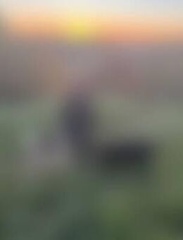 Leo*** - Benediktbeuern