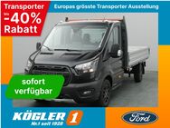 Ford Transit, Pritsche EK 350 L3 Trail, Jahr 2024 - Bad Nauheim