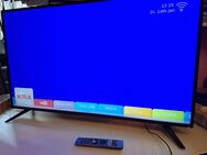 Sharp Led TV smart 49 Zoll - Kassel