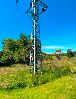 Elektrosmog, eine völlig unterschätzte und hochbrisante Gefahr! - Herdwangen-Schönach