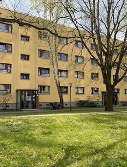 Vermietete 4 Zimmer Wohnung im Dachgeschoss - am Volkspark Potsdam - Potsdam
