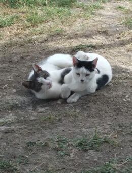 Max & Moritz - unzertrennliche Brüder - Walluf