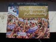 Buch: Von Meisterschaft zu Meisterschaft. Die Titelsammlung der SG Flensburg-Handewitt, Bildband herausgegeben von Ruwen Möller, originalverpackt, NP: 24,95 für 15,- - Flensburg