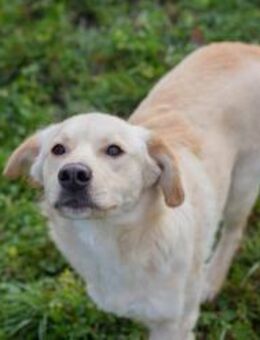 NINETTE - eigentlich möchte ich alles - Overath