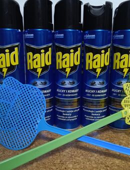 Raid Insektenspray - Berlin Marzahn-Hellersdorf