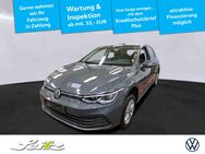 VW Golf, 2.0 TDI VIII Life, Jahr 2022 - Weingarten