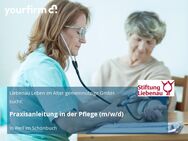 Praxisanleitung in der Pflege (m/w/d) - Weil (Schönbuch)