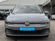 VW Golf VIII Variant 1.0 eTSI DSG Active LED/NAVI - Hamburg