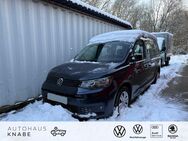 VW Caddy, 2.0 TDI Maxi, Jahr 2024 - Kierspe