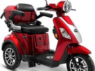 Rolektro Elektromobil Rolektro E-Trike 15 V.3 Lithium, 1000 W, 15 km/h, (mit Topcase)