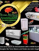 Terrarium 50x50x50cm (LxTxH) Glas Terrarium Terrariumbau in 44359