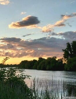 Wohn- u. Geschäftshs. mit Scheune u. Hinterhaus zum Neckar in Edingen - 60003985 - Edingen-Neckarhausen