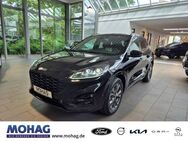 Ford Kuga, ST-Line X, Jahr 2021 - Recklinghausen