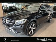 Mercedes GLC 220, d AMG int 19, Jahr 2017 - Rheda-Wiedenbrück