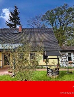 Naturliebhaber aufgepasst! - Fincken